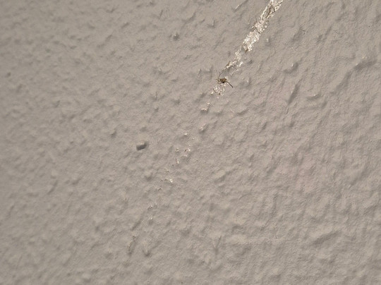 丹普木赫酒店主图