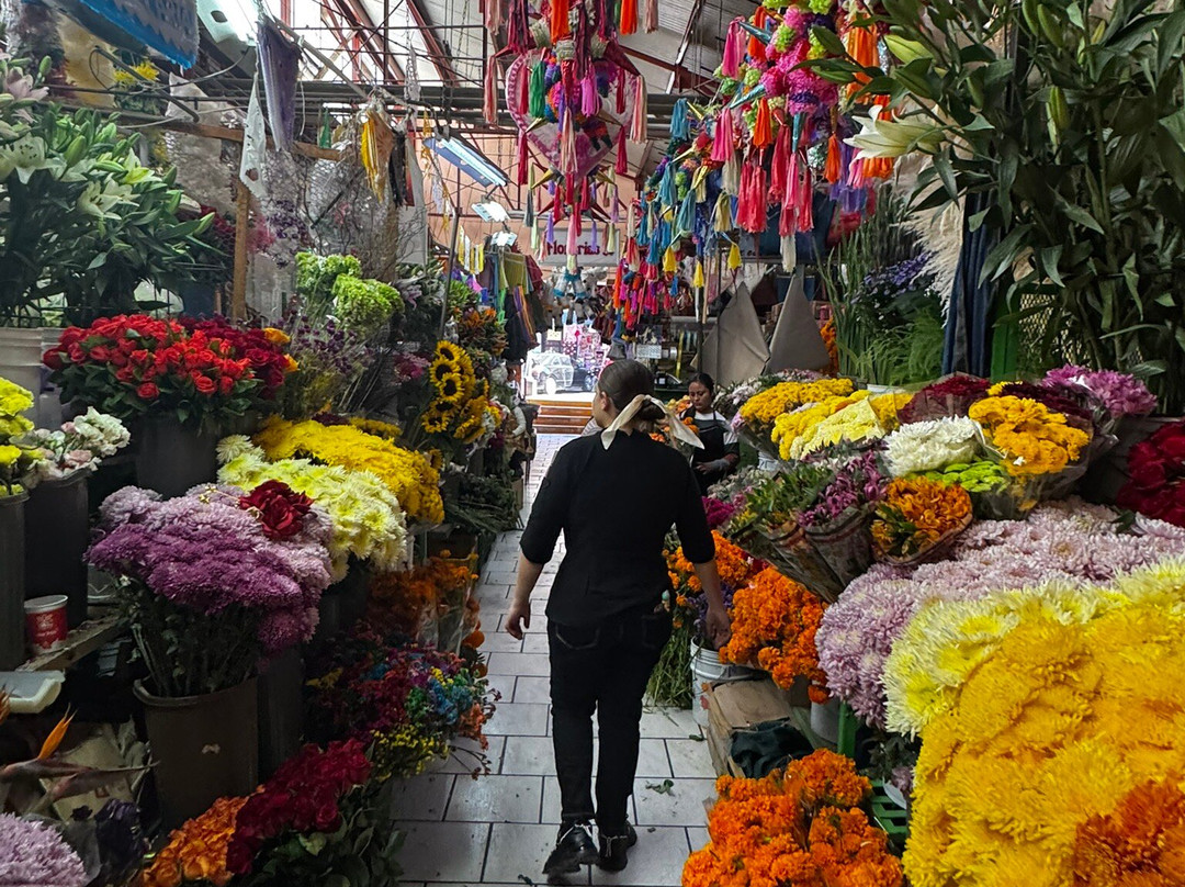 Mercado Ignacio Ramirez-圣米格尔护城必去景点