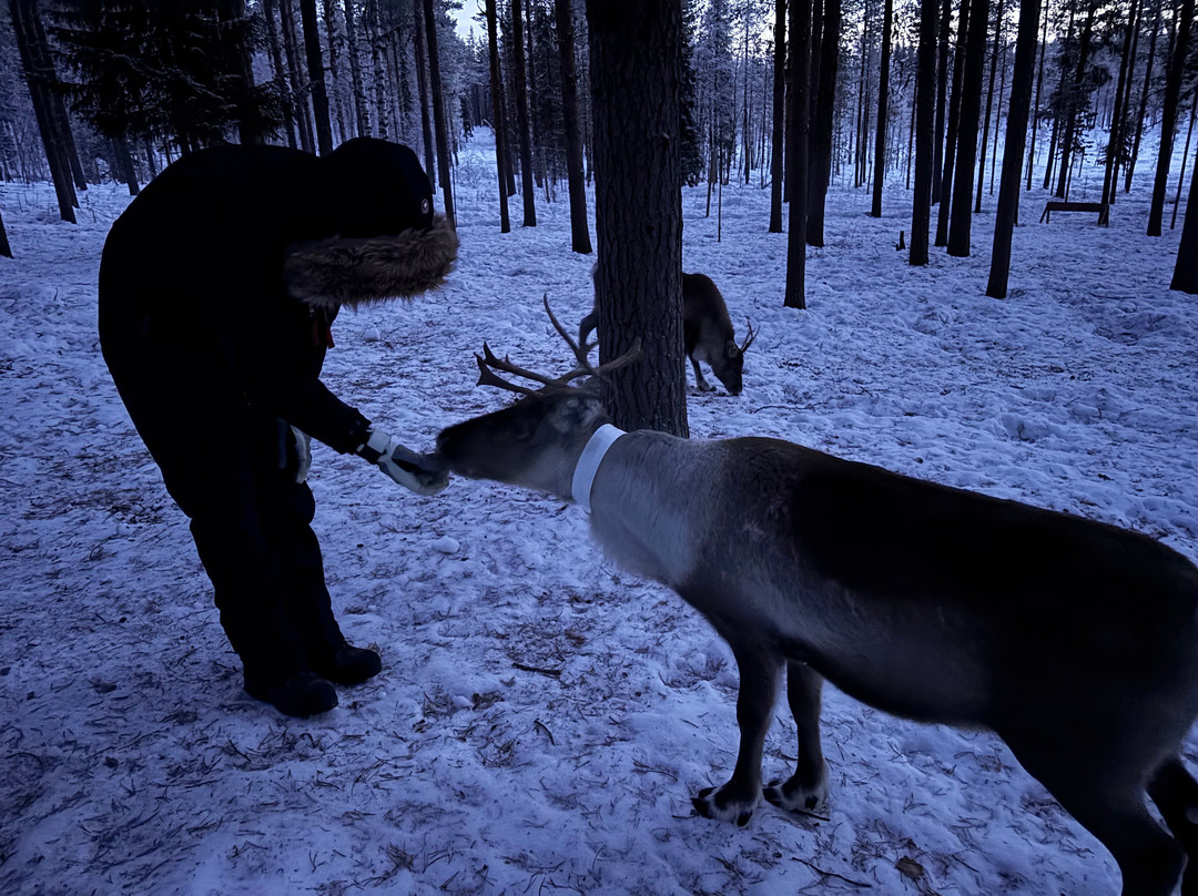 Silba Siida-Jokkmokk必去景点