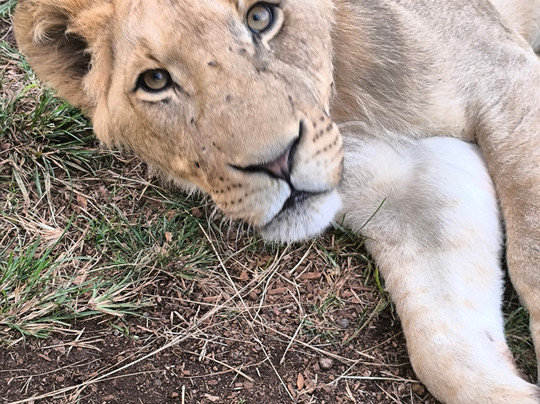 CTC Conservation Center-Mpigi必去景点