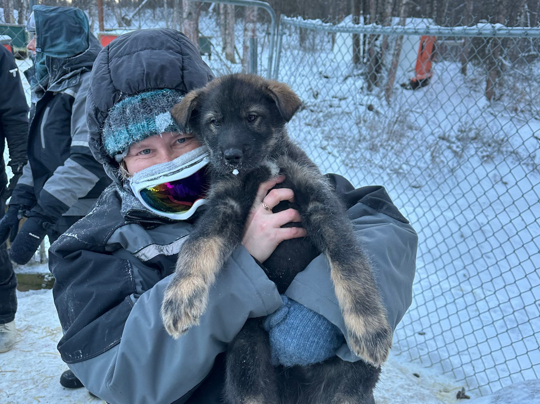 Snowhook Adventure Guides of Alaska-Willow必去景点