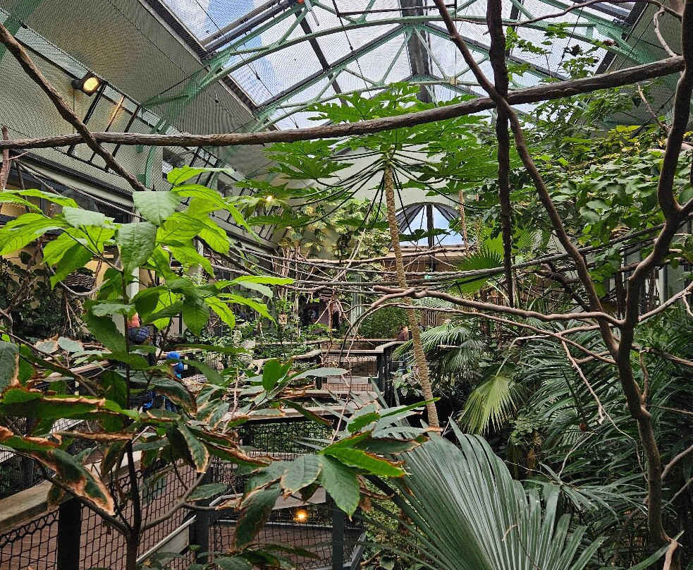 科隆动物园-科隆必去景点