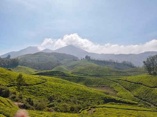 Ghumega India-新德里必去景点