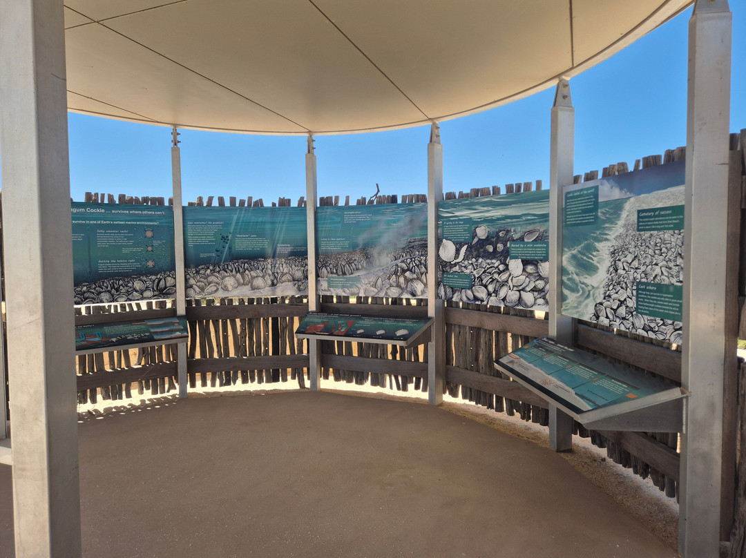 Shell Beach-德纳姆必去景点