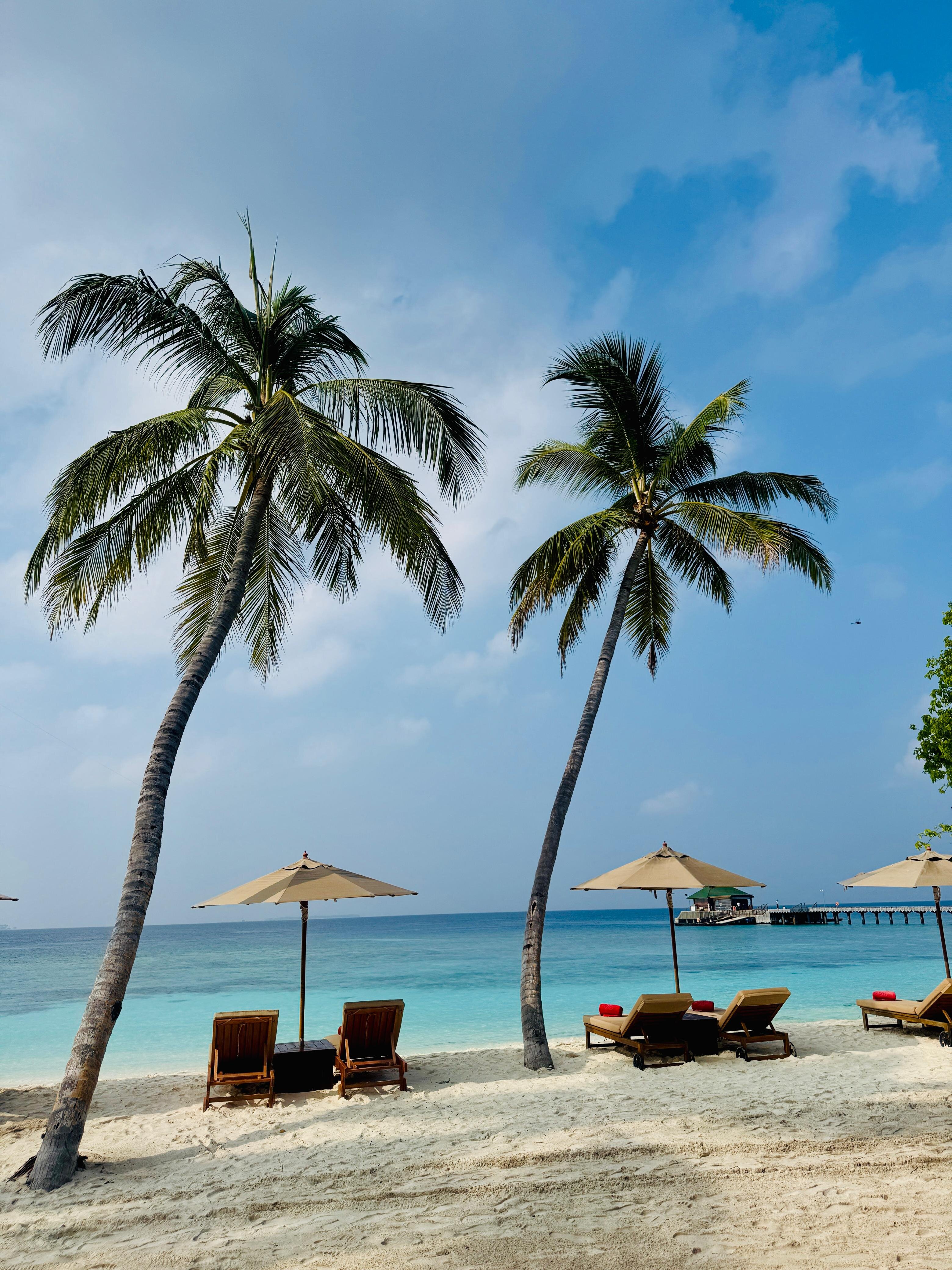 Siyam World Maldives-泳池