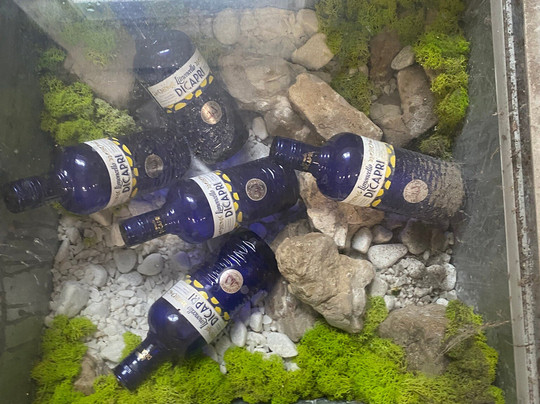 Partenope's Tours-萨勒诺必去景点