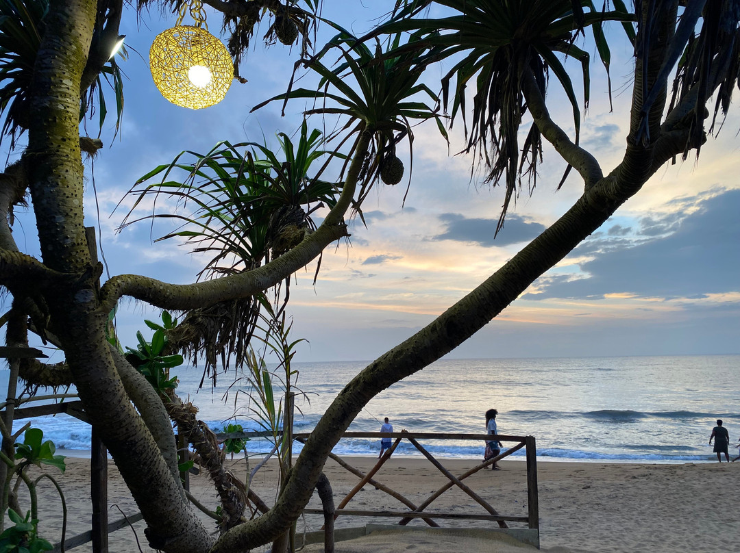 Ricky Seafood Restaurant Sri Lanka