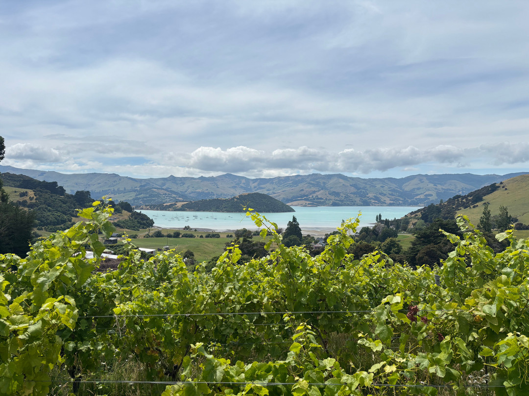French Peak Vineyard-阿卡罗阿必去景点