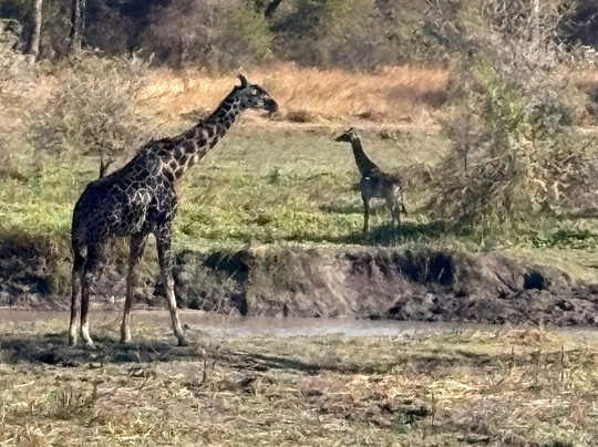 Sam safari & tours-Iringa必去景点