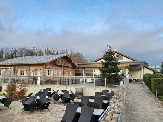 Köpfers Steinbuck主图