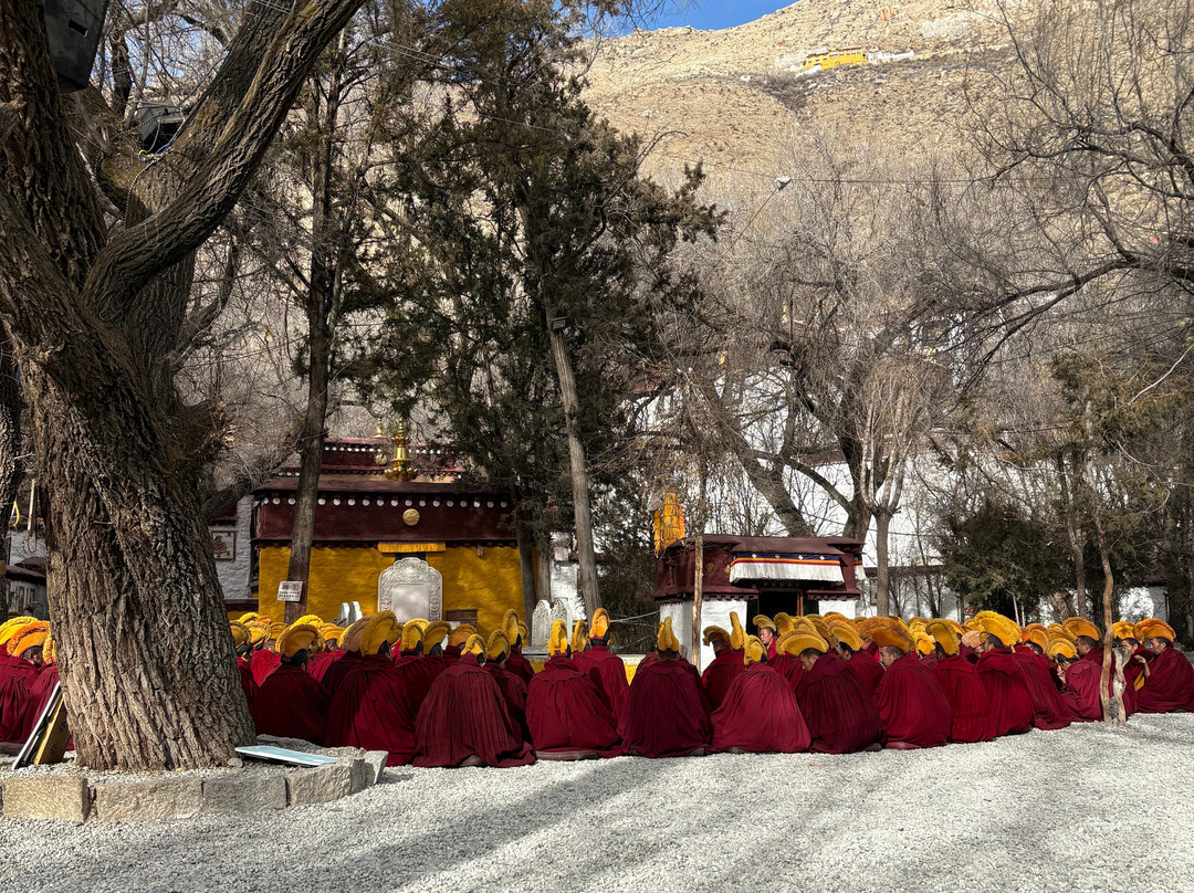 藏路旅游-拉萨市必去景点
