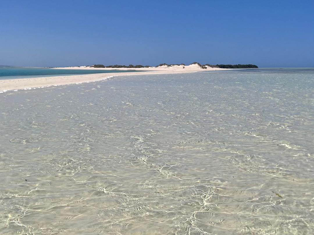 Wadi El Gemal National Park-马萨阿拉姆必去景点