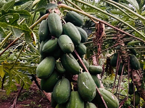 Huatulco Tours And Experiences-瓦图尔科必去景点