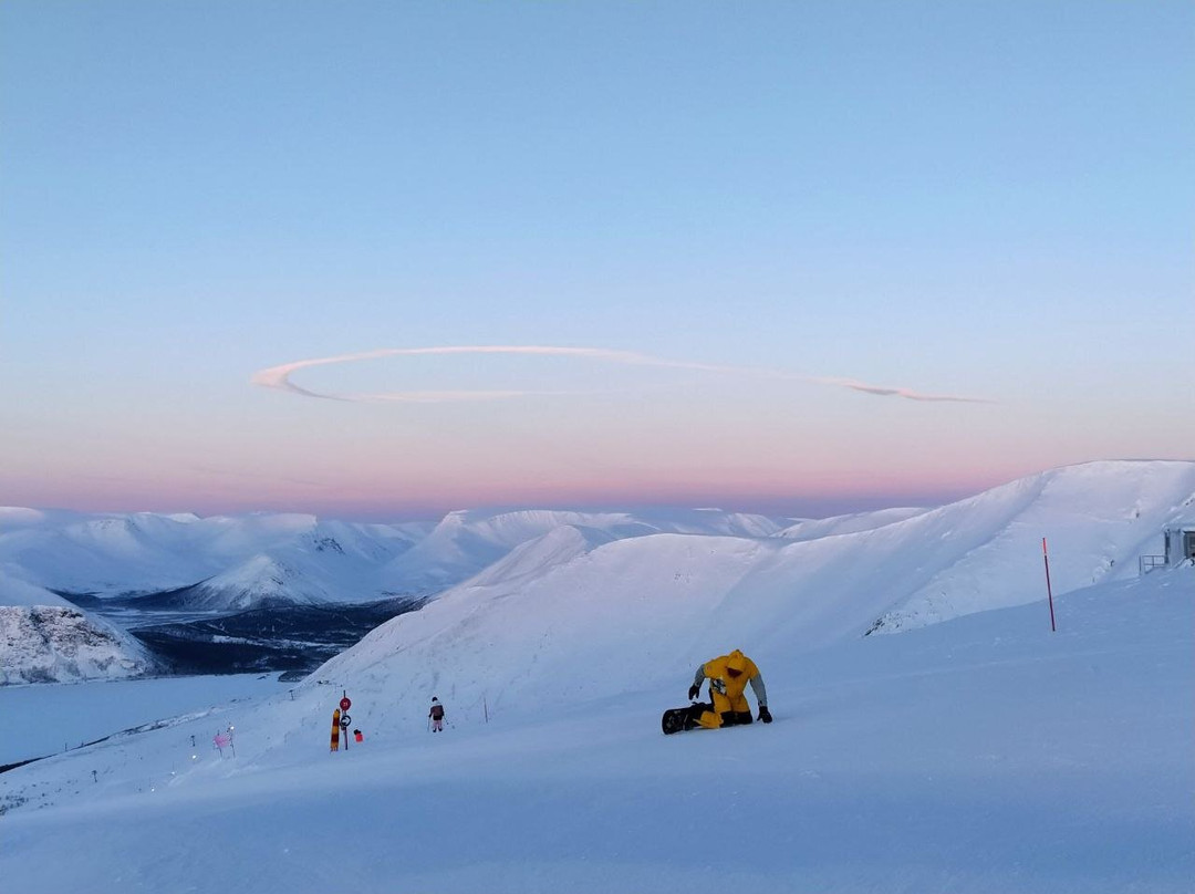 Arctic Safari-摩尔曼斯克必去景点