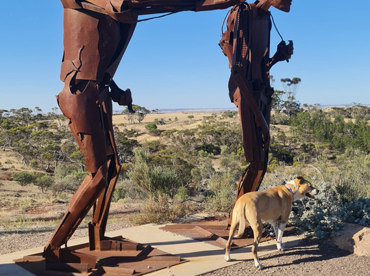Whites Knob Lookout-Kimba必去景点