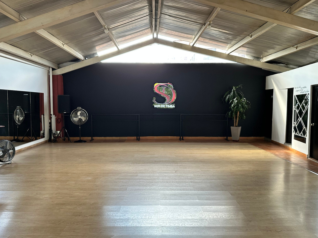 Son De Timba Dance Studio-恩维加多必去景点