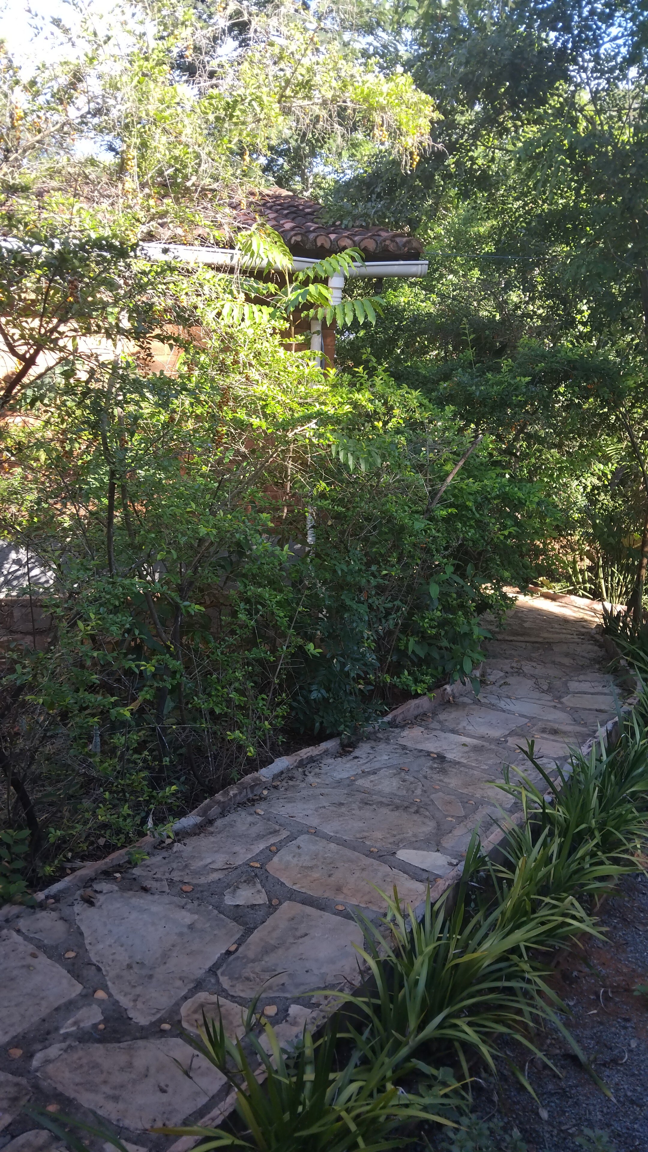 Pousada Luar do Sertão-官方