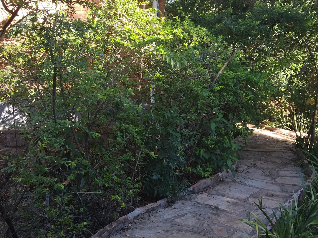 Pousada Luar do Sertão主图