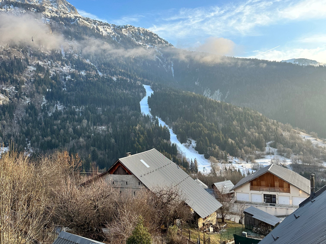 Hôtel & Restaurant Les Cimes - Madame Vacances主图