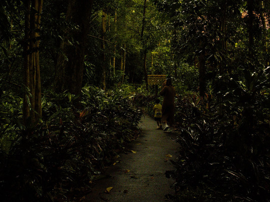 Art's Riverview Jungle Lodge主图