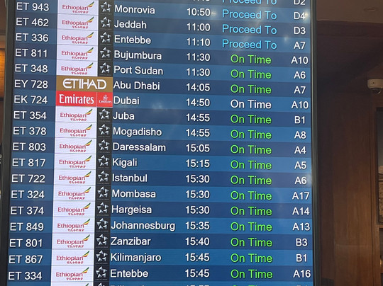 Plaza Premium Lounge - Addis Ababa Bole International Airport-亚的斯亚贝巴必去景点