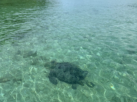 Fun & Boat-诺西贝必去景点