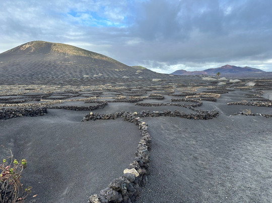 Wine Tours Lanzarote-卡门港必去景点