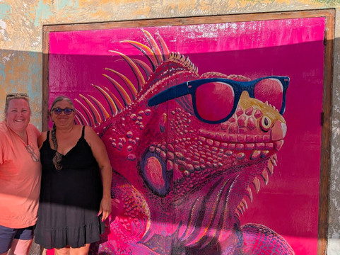 The Pink Iguana