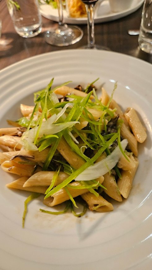 Sigtunastiftelsen-官方