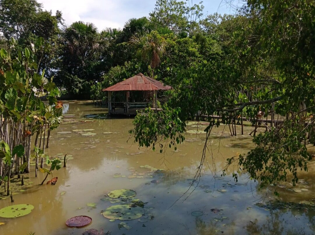 Fundo Pedrito-伊基托斯必去景点