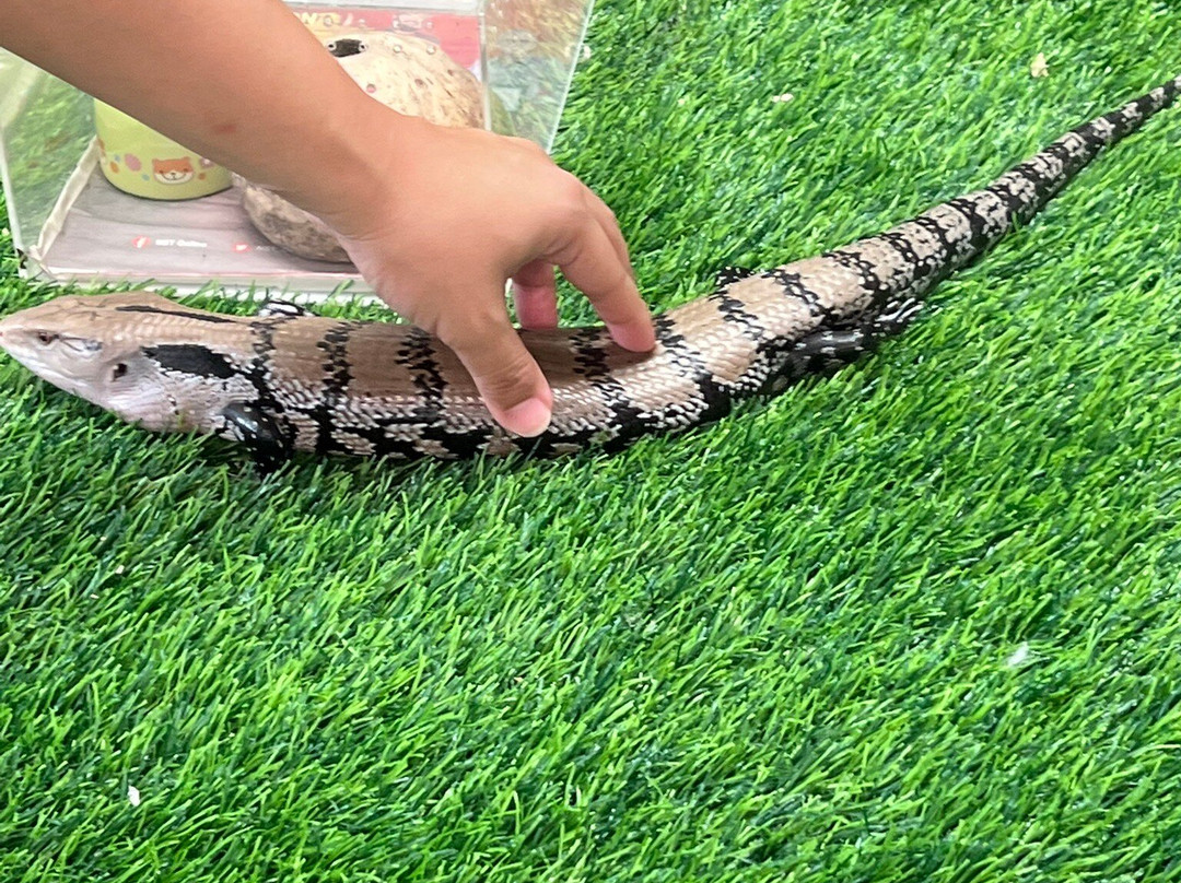 Desaru Fruit Farm-哥打丁宜必去景点