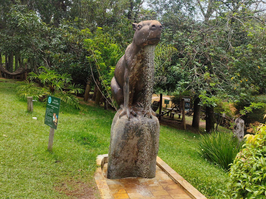 Monjolinho Parque de Aventura-索科罗必去景点