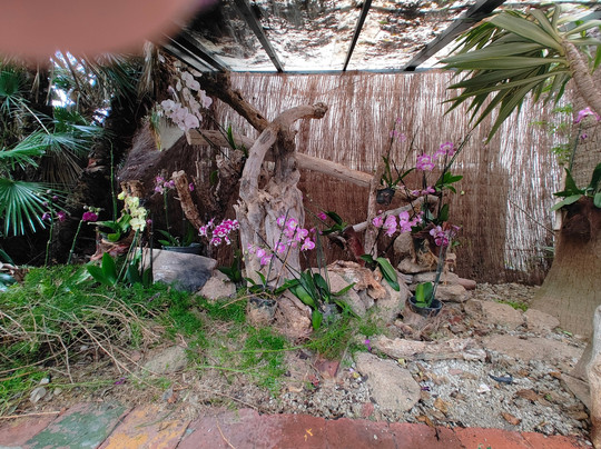 Jardin de Orquideas de Sitio Litre-德拉克鲁兹索尔港必去景点