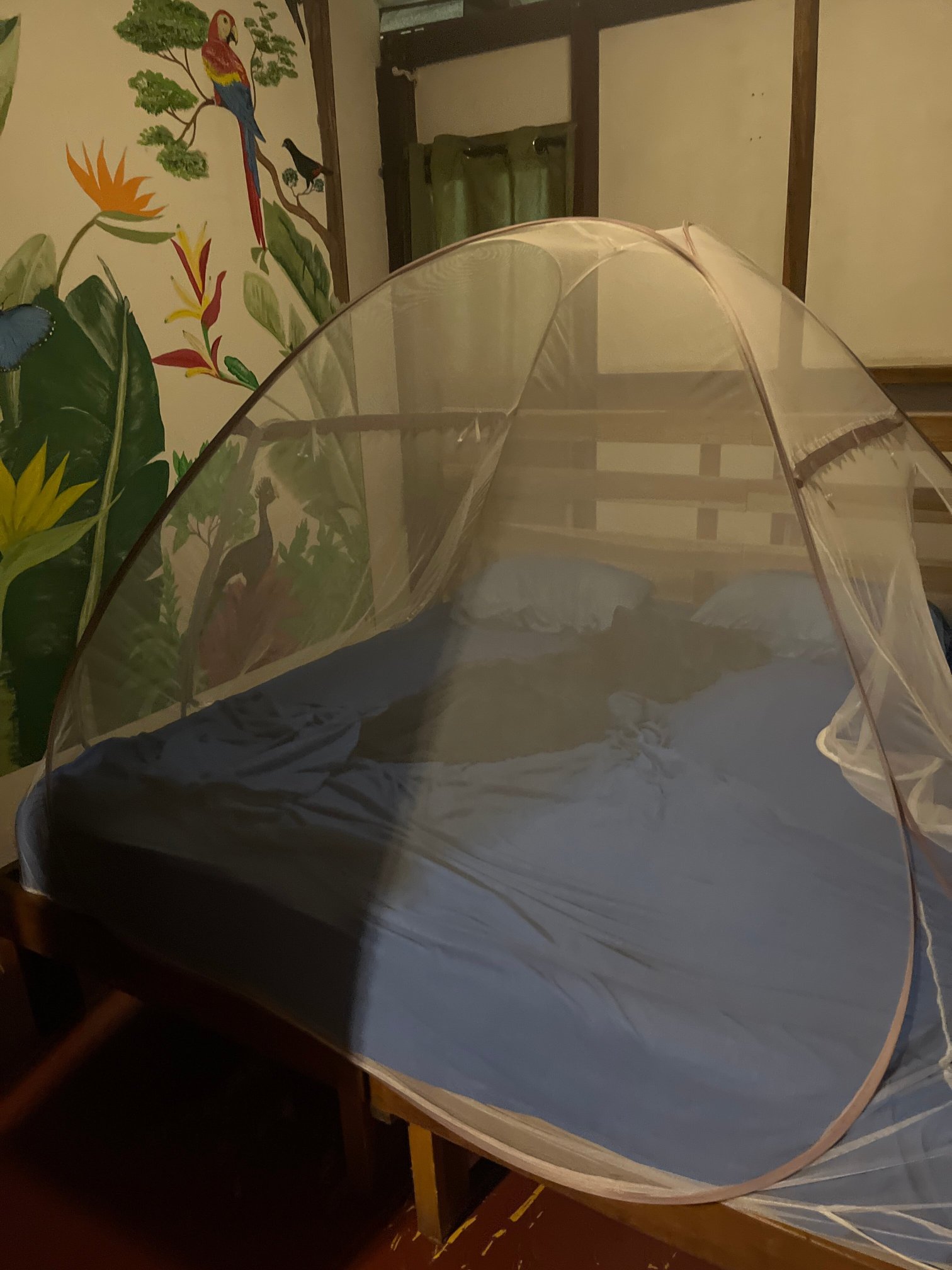 Pachamama Jungle River Lodge-官方