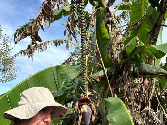 TIO JOSE COFFEE TOUR-葛雷西亚必去景点