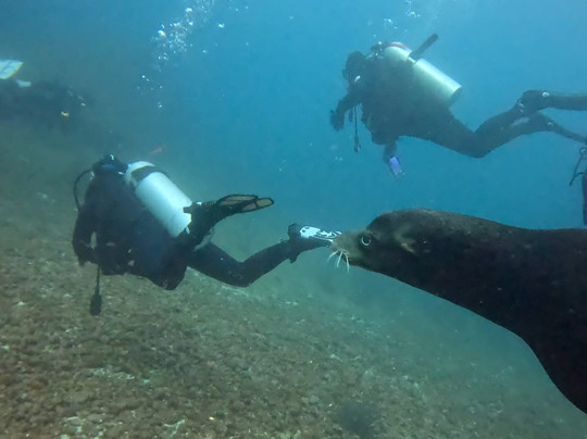 Blue Nation-洛雷托必去景点