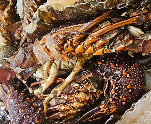 Nero Guida Turistica-瓦塔木必去景点