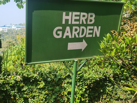 Ayurveda Healing Ashram-提卢湾安塔普兰（特里凡德伦）必去景点