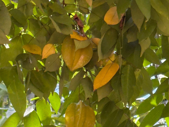 Bwa Mzee Spice Farm-基万嘎必去景点