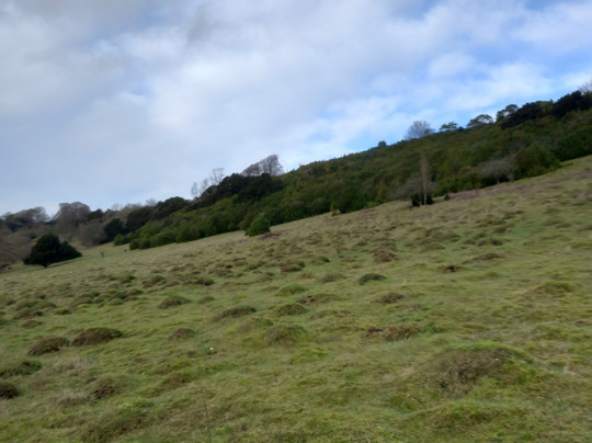 Watlington Hill-Watlington必去景点