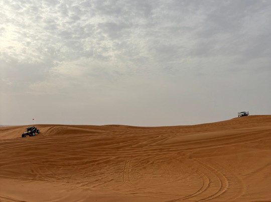 Desert Team Tourism-迪拜必去景点