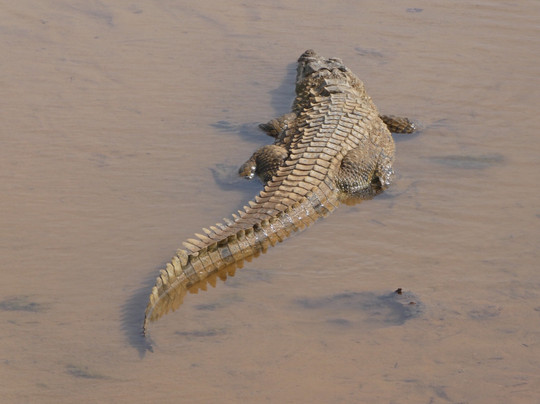 Yala National Park-雅拉国家公园必去景点