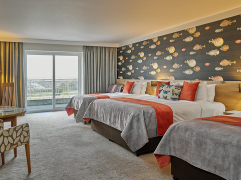 加利维奥酒店主图