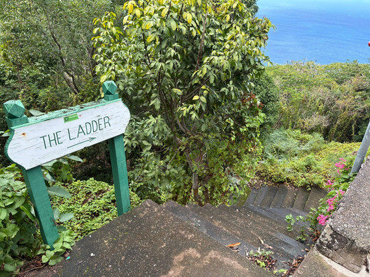 Ladder Bay-The Bottom必去景点