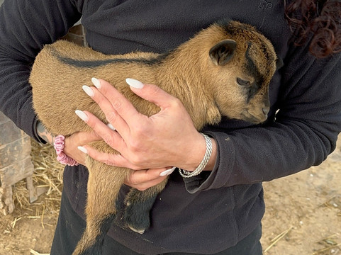 Quinta Fotoplanet Farm-阿尔布赞拉必去景点