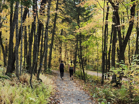 Centre de plein air Dansereau