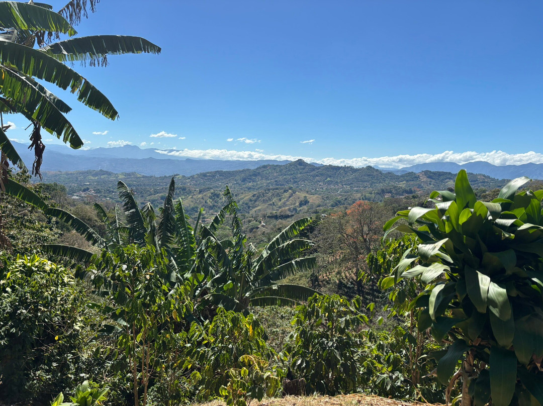 La Casa del Alto Tour Rural-Atenas必去景点