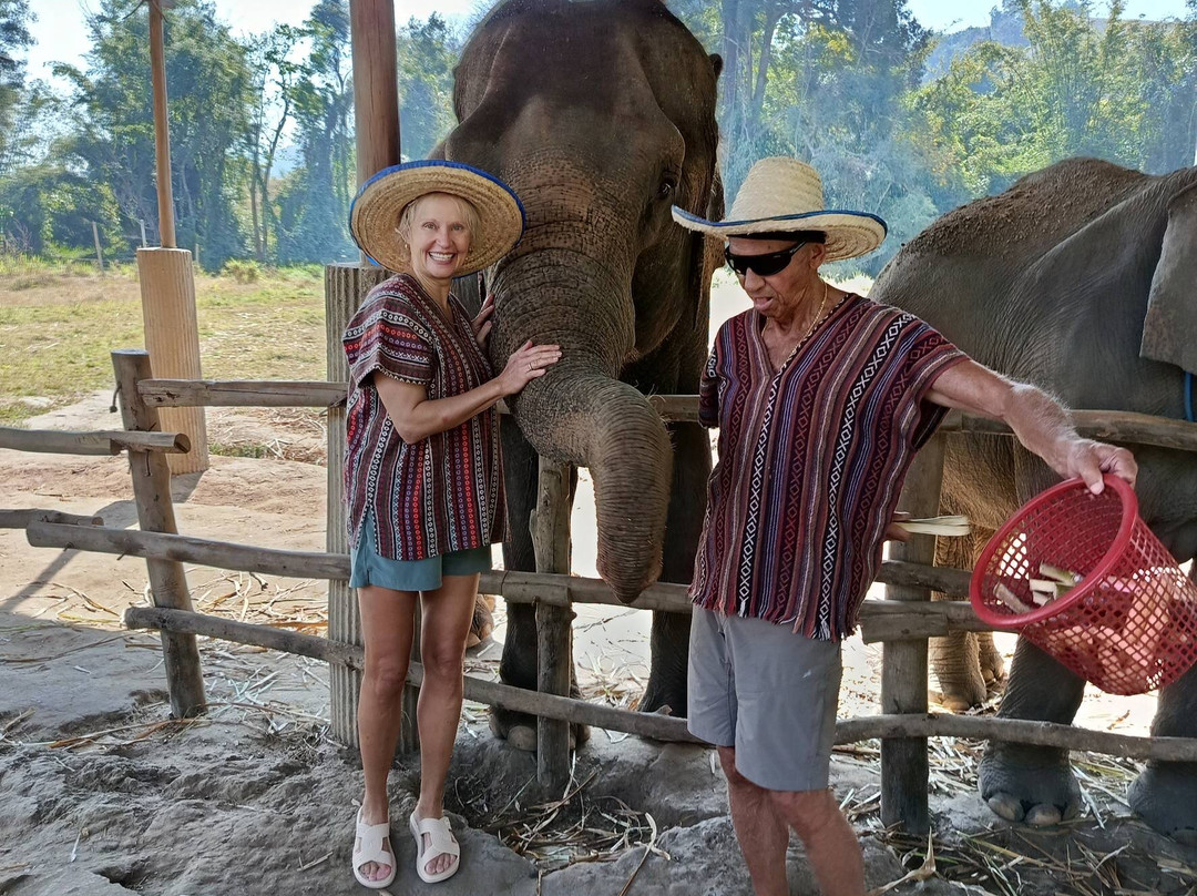 Chiangmai Elephant Heritage-清迈必去景点