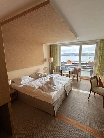 莱尼赛酒店主图