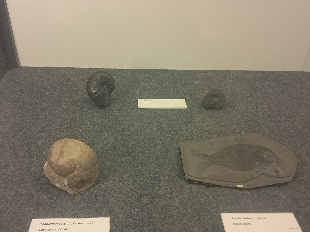 Museo Brembano-圣佩莱格里诺泰尔梅必去景点